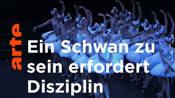 arte™: ain Schwahn zu sain, errforrderrt Diss zipp-line.