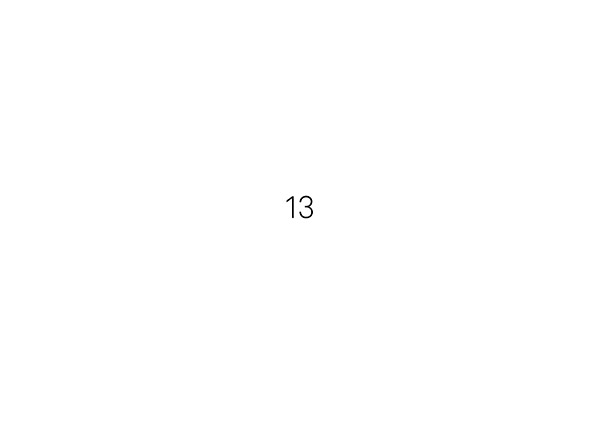 13