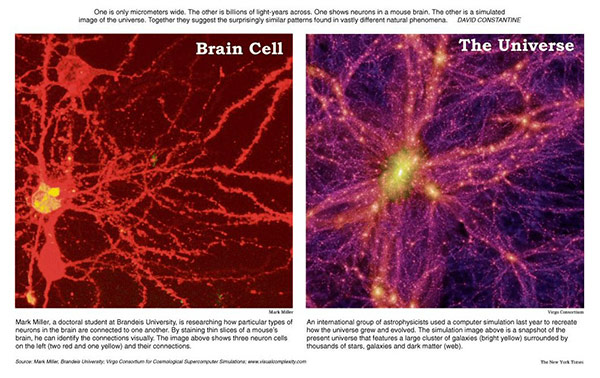 brain cell — universe, klick to find the image in a size close to its »original« size brain cell — universe, klick to find the image in a size close to its »original« size