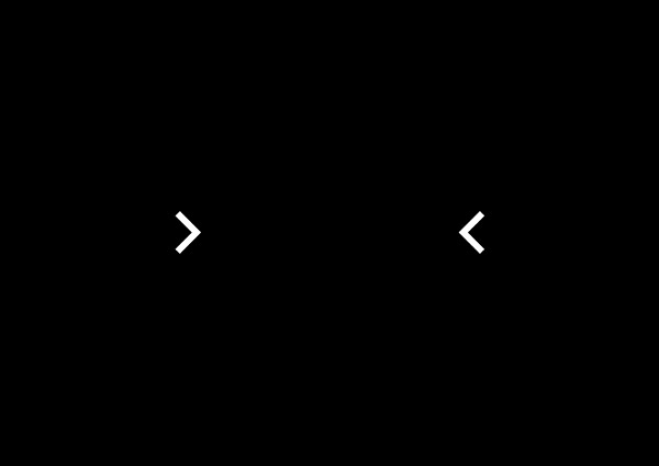 sex xes