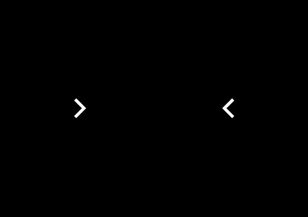 sex xes