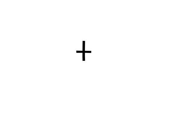 T4